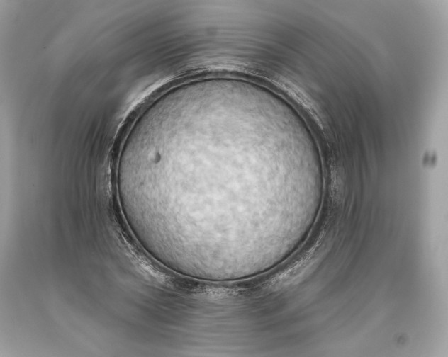 X0000093520782200710261218