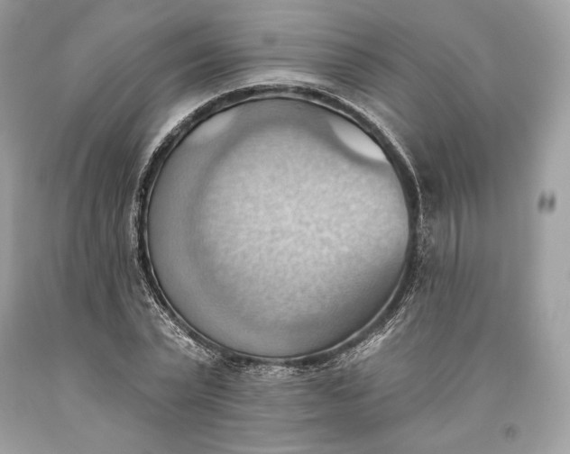 X0000093520783200710261218