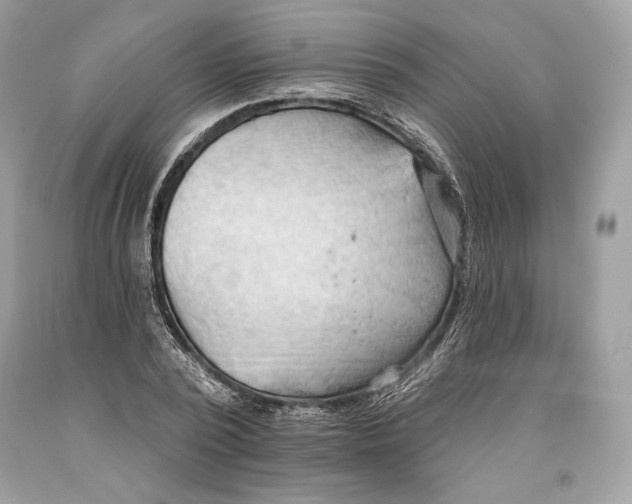 X0000093520784200710261218