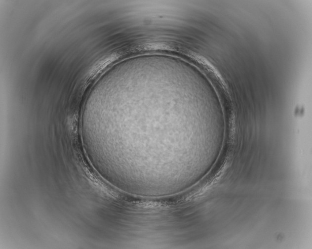 X0000093520785200710261218