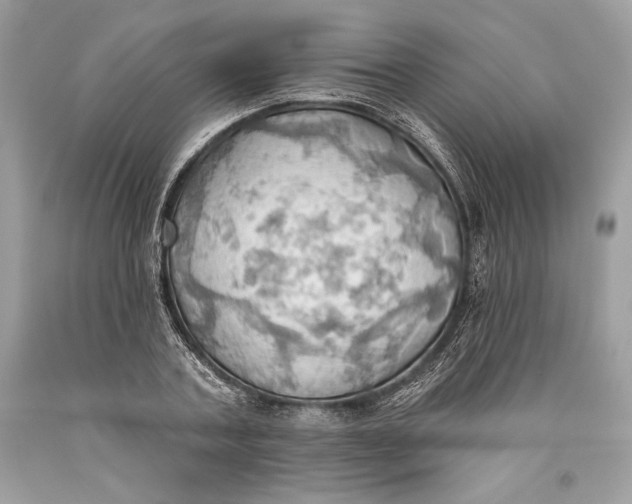 X0000093520787200710261218