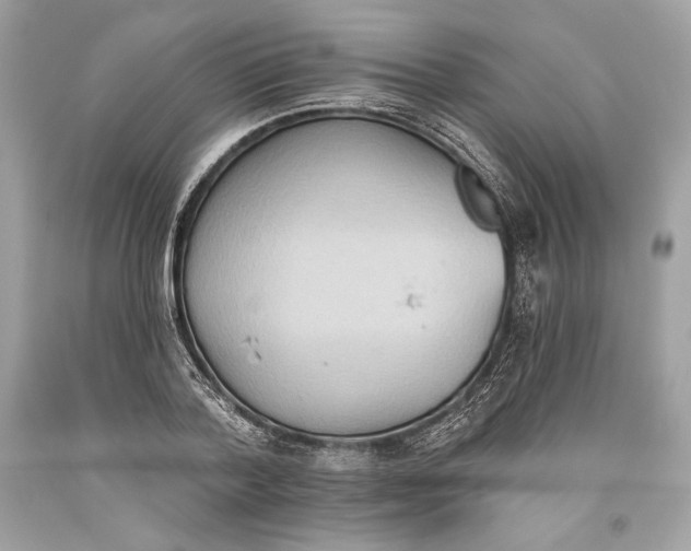 X0000093520788200710261218