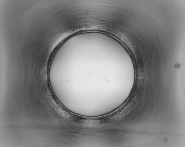 X0000093520789200710261218