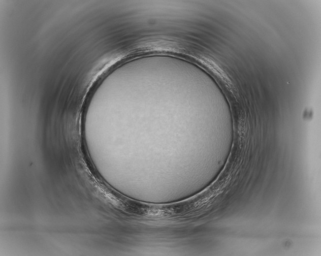 X0000093520790200710261218