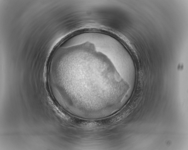 X0000093520791200710261218