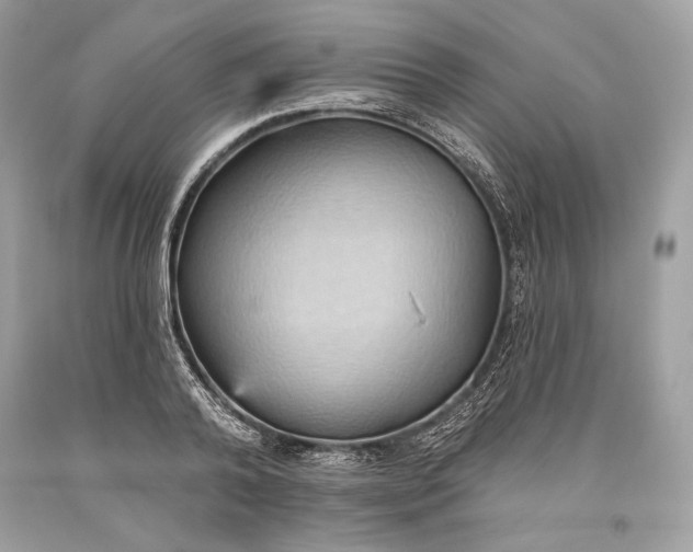 X0000093520792200710261218