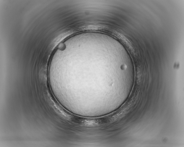 X0000093520794200710261218