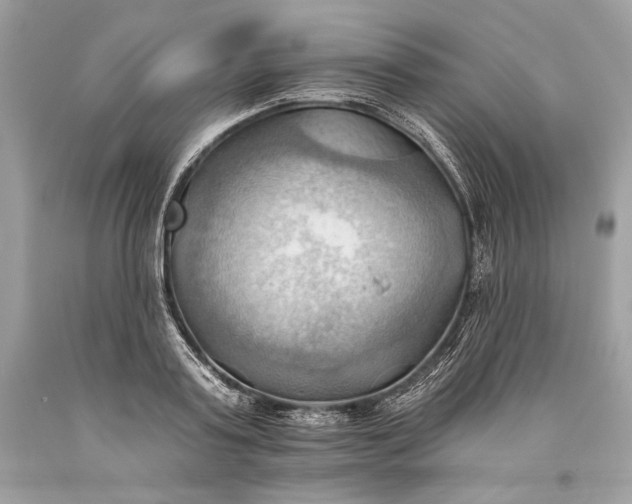 X0000093520795200710261218