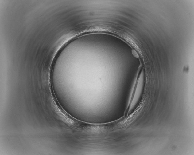 X0000093520797200710261218