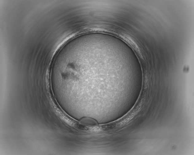 X0000093520798200710261218