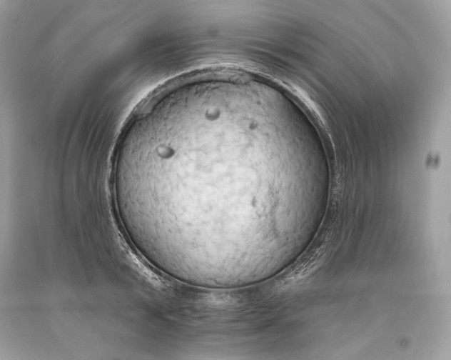 X0000093520799200710261218