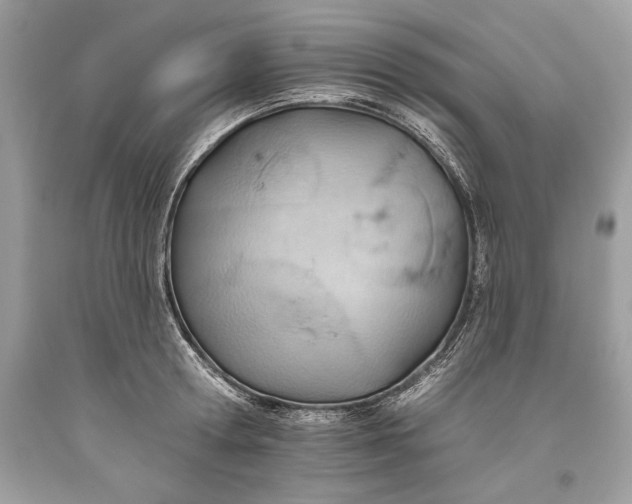 X0000093520802200710261218