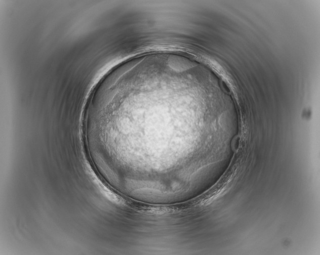 X0000093520803200710261218