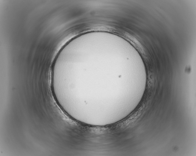 X0000093520804200710261218