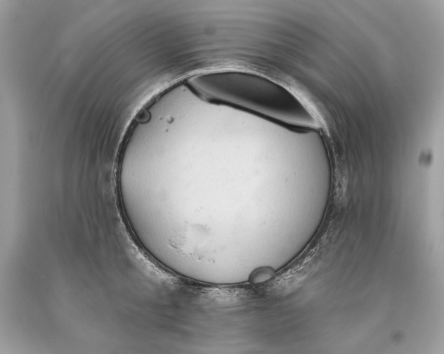 X0000093520805200710261218