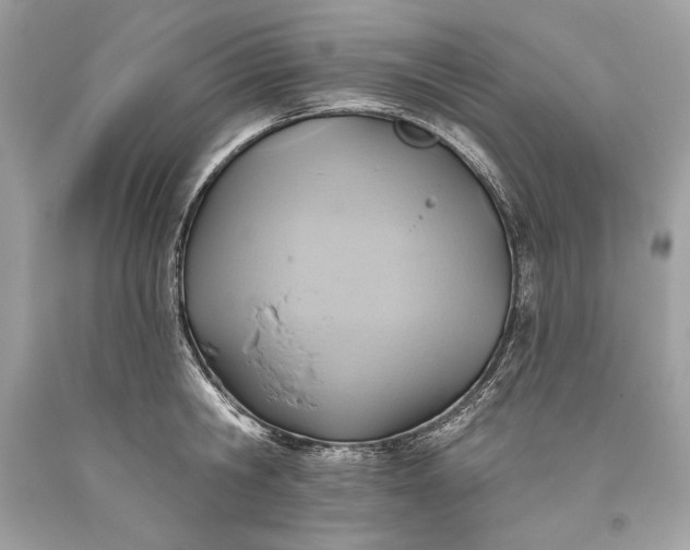 X0000093520806200710261218