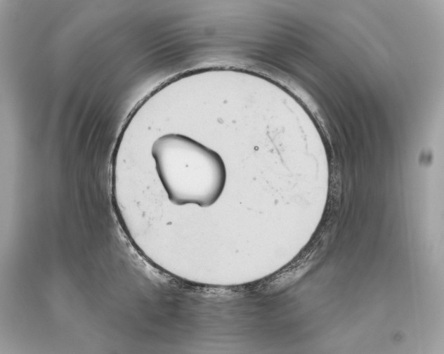 X0000093520807200710261218