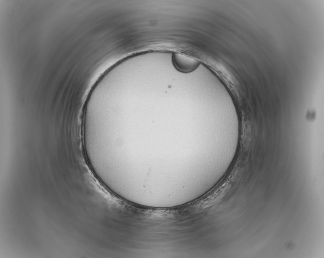 X0000093520808200710261218