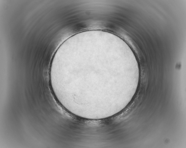 X0000093520810200710261218