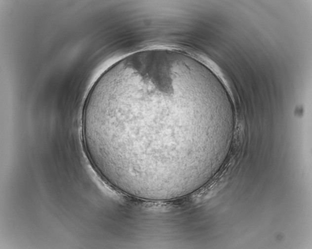 X0000093520811200710261218