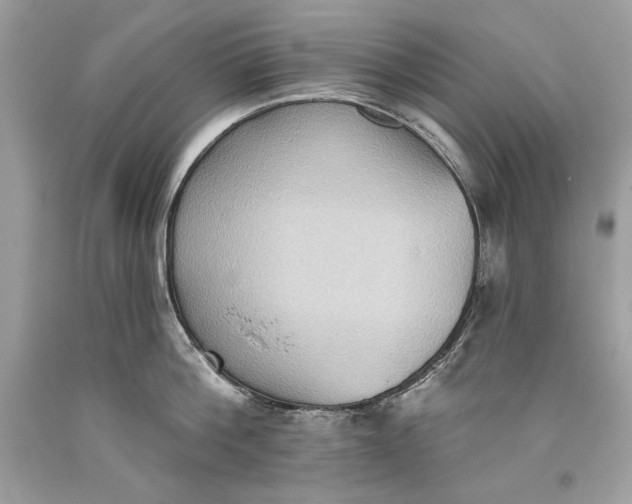 X0000093520812200710261218