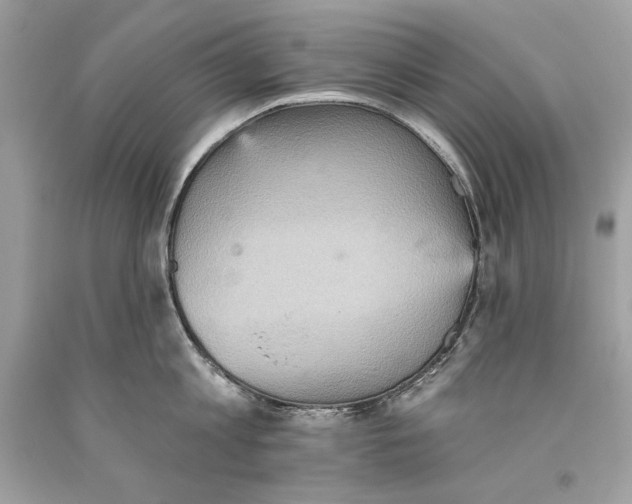 X0000093520813200710261218