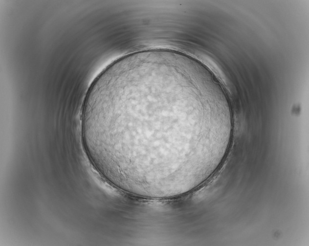 X0000093520814200710261218