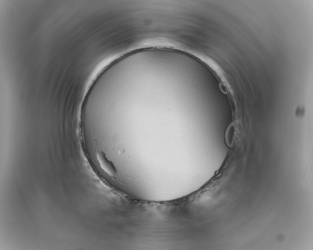 X0000093520815200710261218