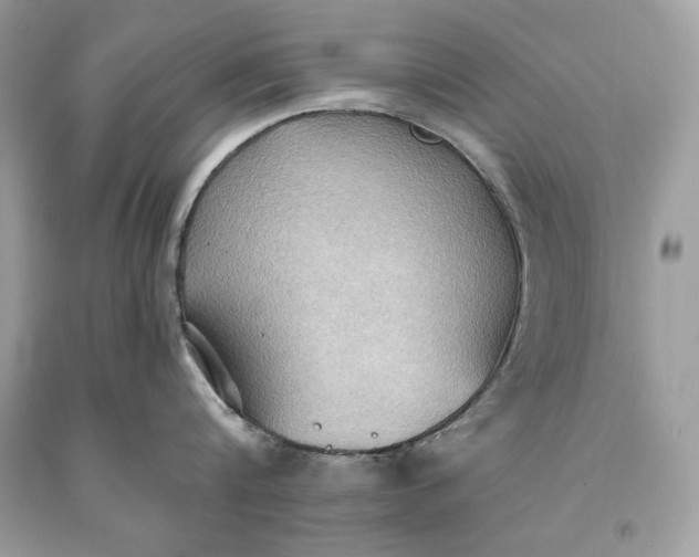 X0000093520816200710261218