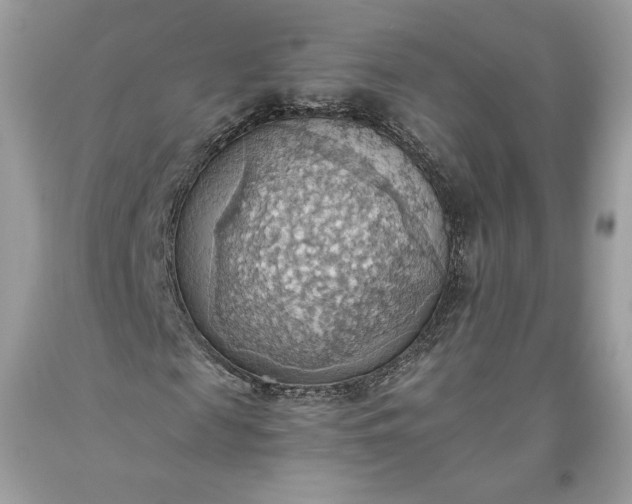 X0000093520817200710261217