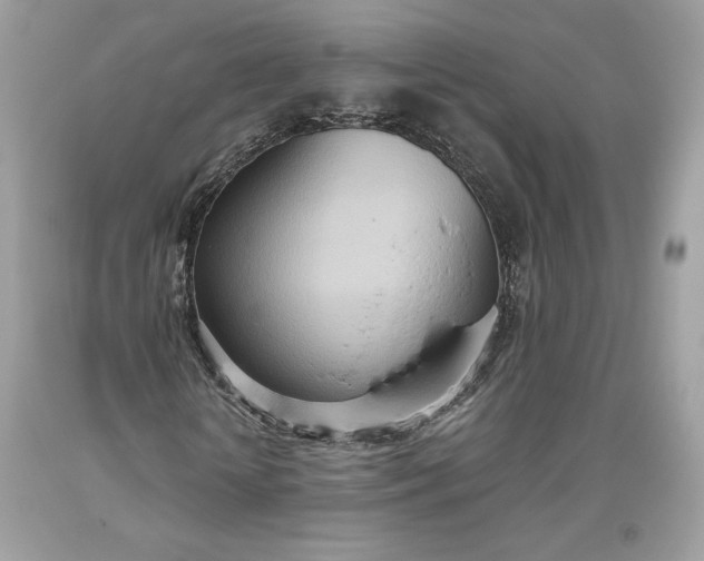 X0000093520818200710261217