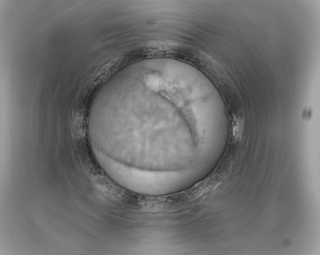 X0000093520819200710261217