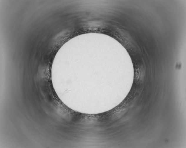 X0000093520820200710261217