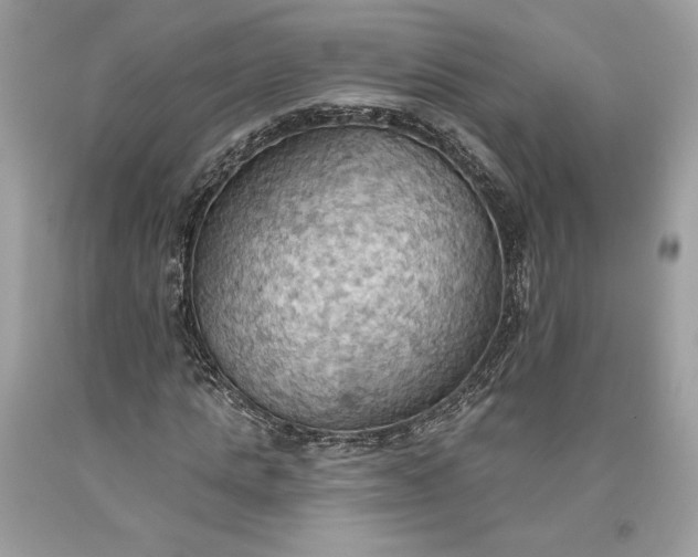 X0000093520821200710261217