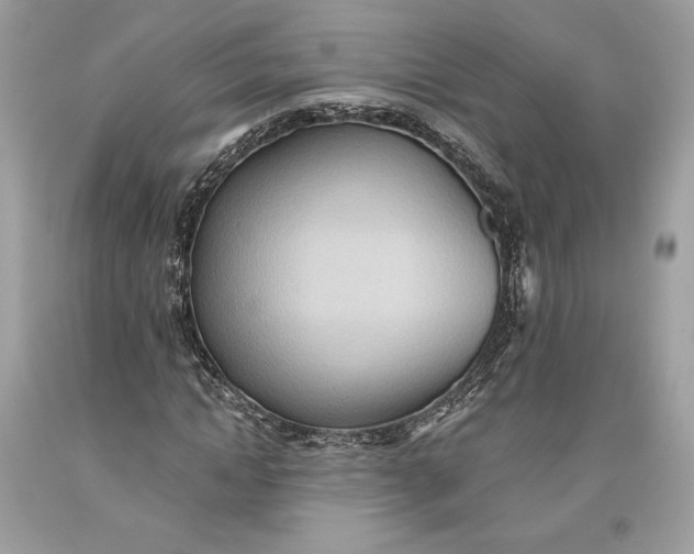 X0000093520822200710261217