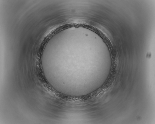 X0000093520823200710261217