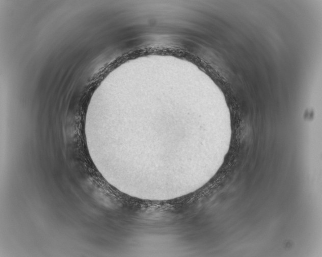 X0000093520824200710261217