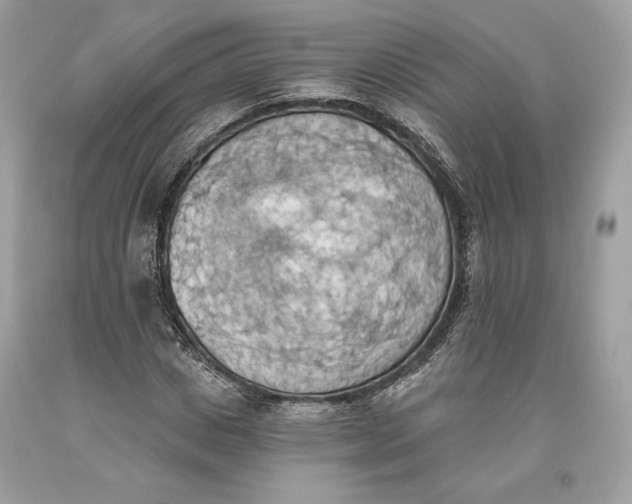 X0000093520825200710261217