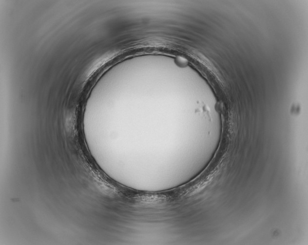 X0000093520826200710261217