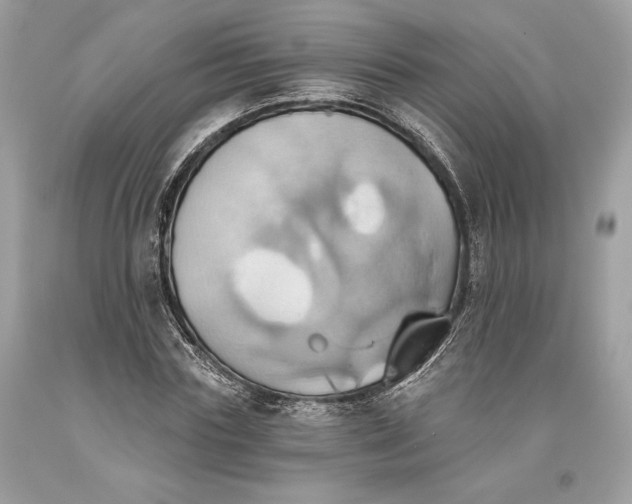 X0000093520827200710261217