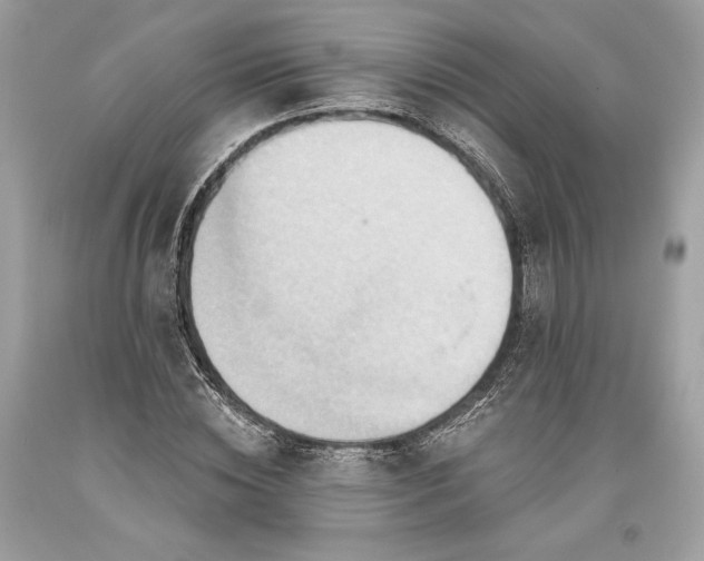 X0000093520828200710261217