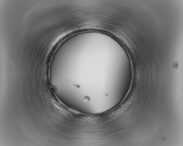 X0000093520830200710261217