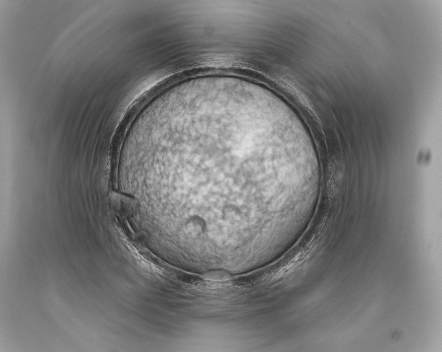 X0000093520831200710261217