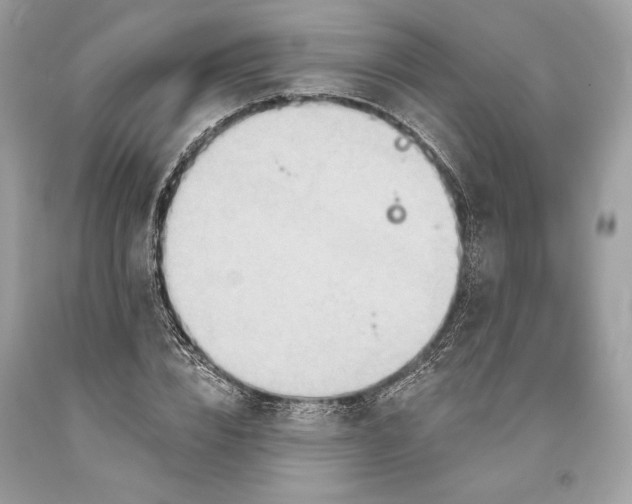 X0000093520832200710261217