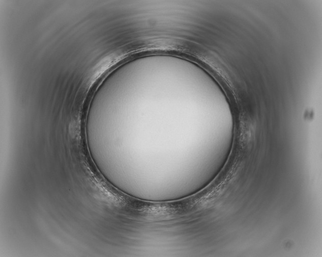 X0000093520834200710261217