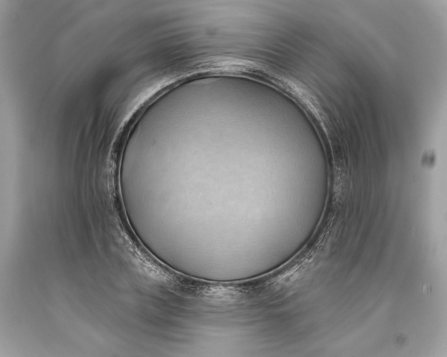 X0000093520835200710261217