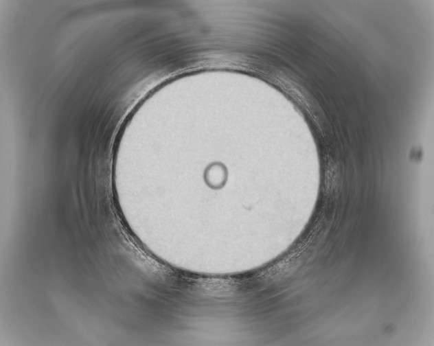 X0000093520836200710261217