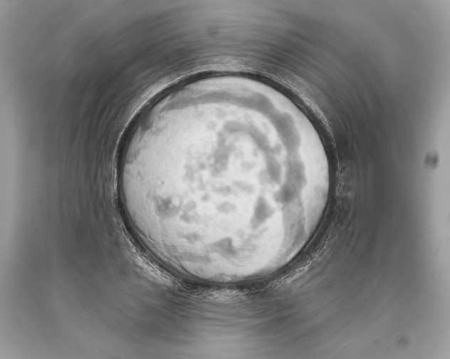 X0000093520837200710261217