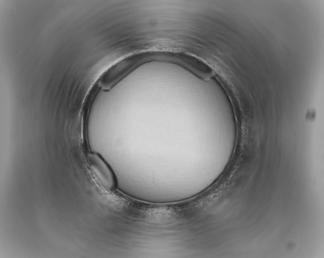 X0000093520838200710261217