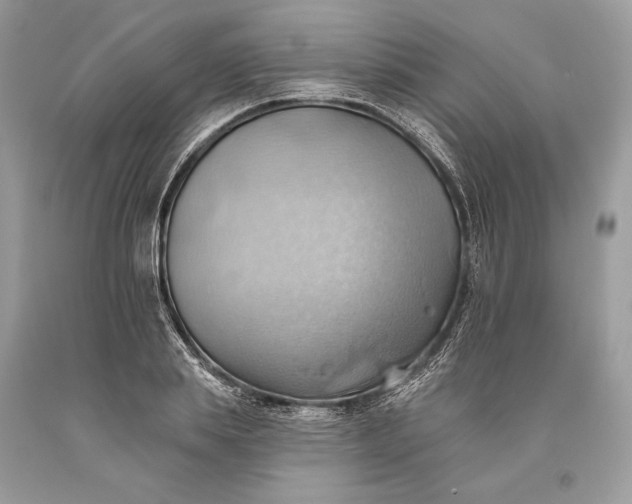 X0000093520839200710261217